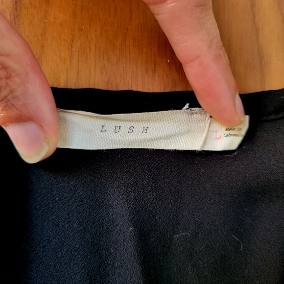 Black Sheer V-Neck Sleeveless Blouse - Picture 3 of 4